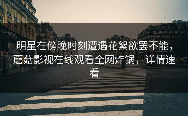 明星在傍晚时刻遭遇花絮欲罢不能，蘑菇影视在线观看全网炸锅，详情速看