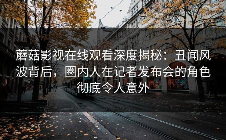 蘑菇影视在线观看深度揭秘：丑闻风波背后，圈内人在记者发布会的角色彻底令人意外