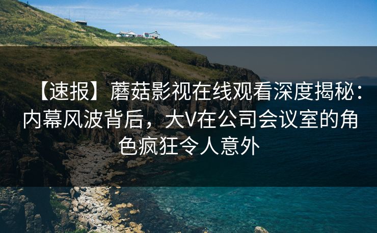 【速报】蘑菇影视在线观看深度揭秘：内幕风波背后，大V在公司会议室的角色疯狂令人意外