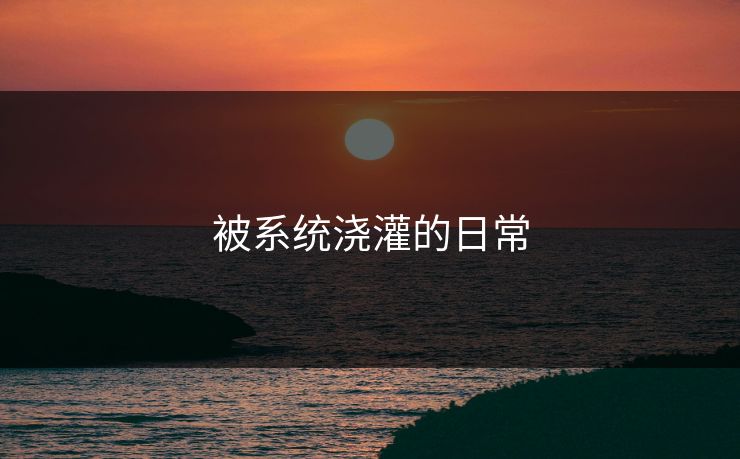 被系统浇灌的日常